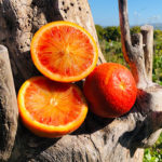 Frutta